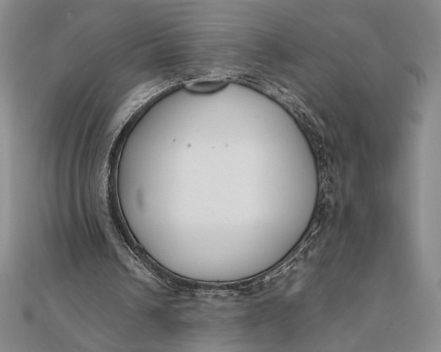 X0000111780242200908061121