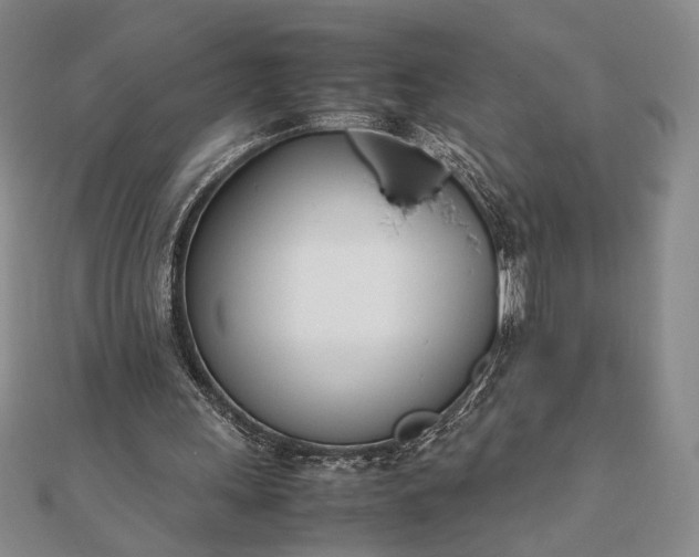 X0000111780243200908061121