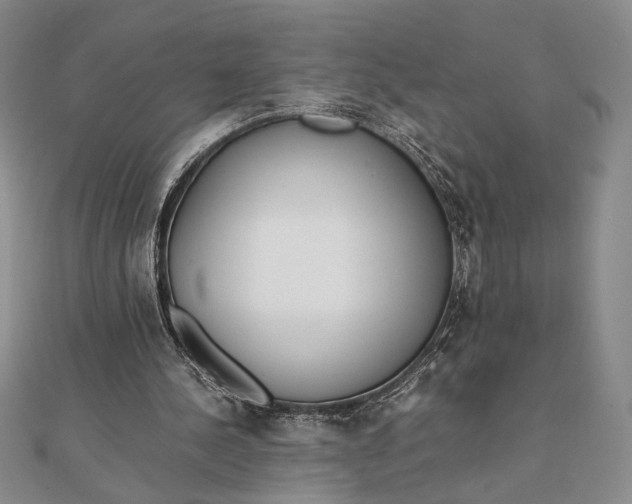 X0000111780244200908061121