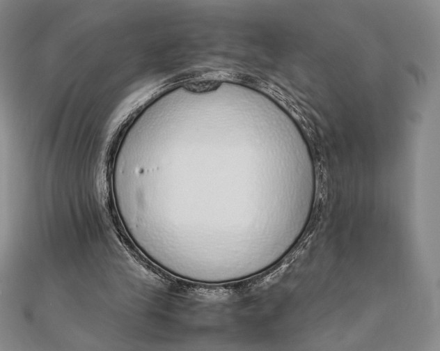 X0000111780245200908061121