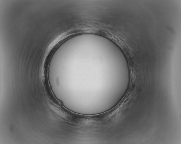 X0000111780246200908061121