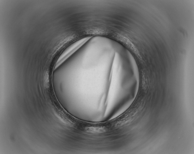 X0000111780251200908061121