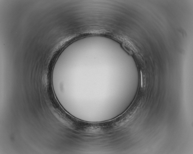 X0000111780252200908061121