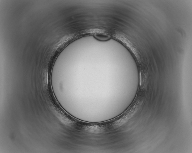 X0000111780253200908061121