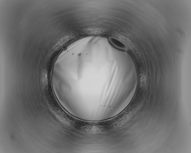 X0000111780254200908061121