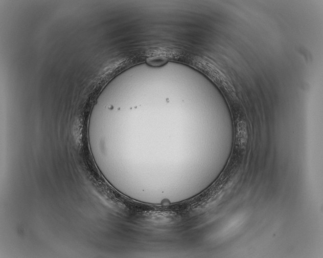 X0000111780255200908061121