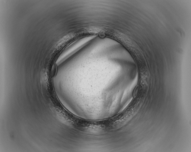X0000111780256200908061121