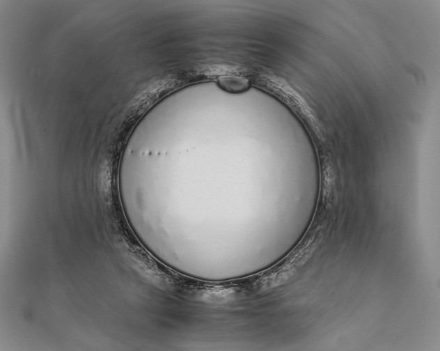 X0000111780257200908061121