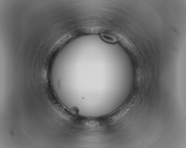 X0000111780258200908061121