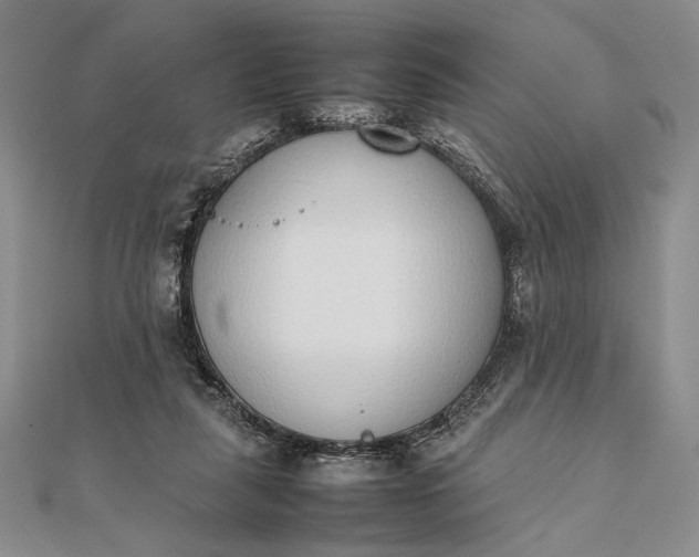 X0000111780259200908061121