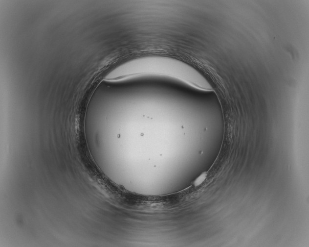 X0000111780260200908061121