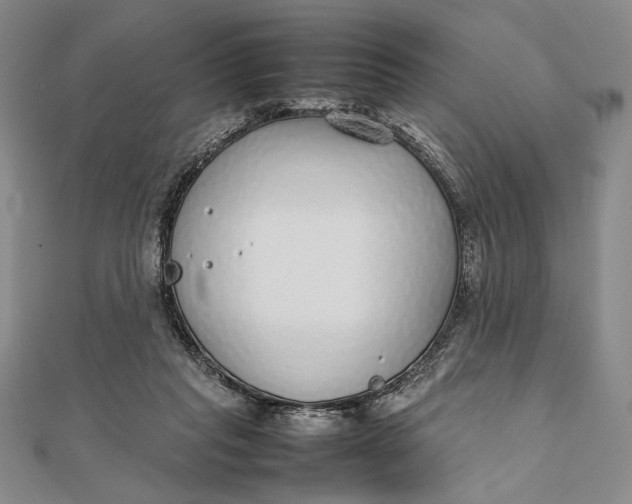 X0000111780261200908061121