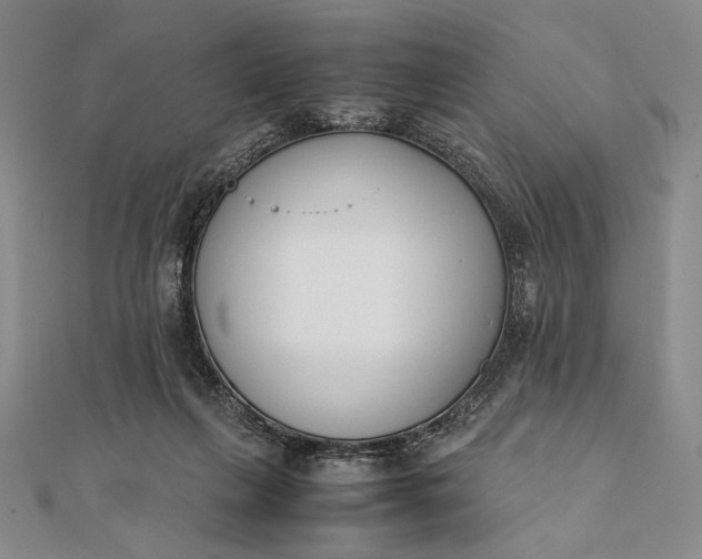 X0000111780263200908061121