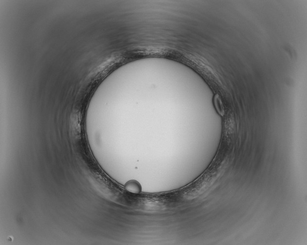 X0000111780264200908061121