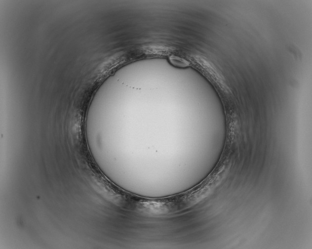X0000111780265200908061121