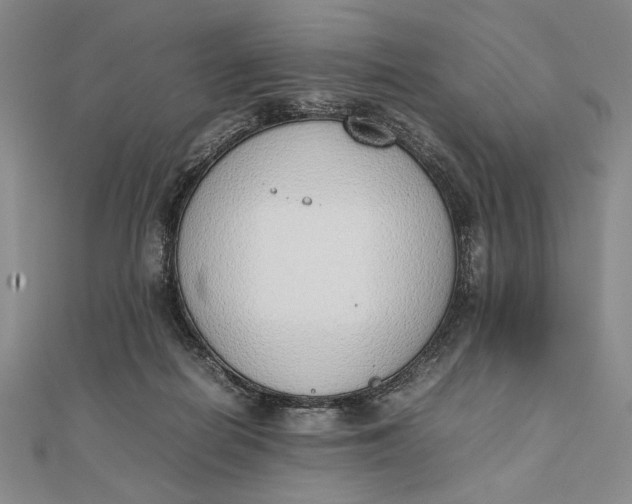 X0000111780266200908061121