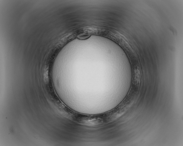 X0000111780267200908061121
