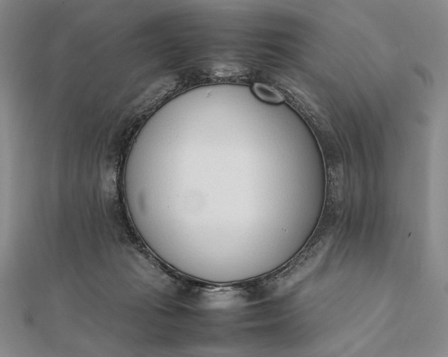 X0000111780269200908061121