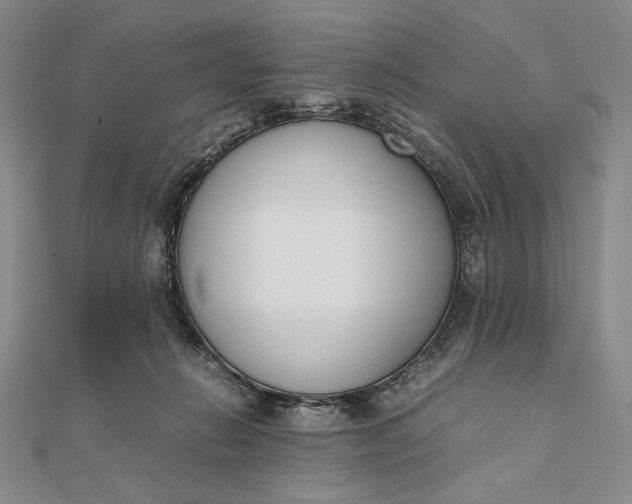 X0000111780270200908061121