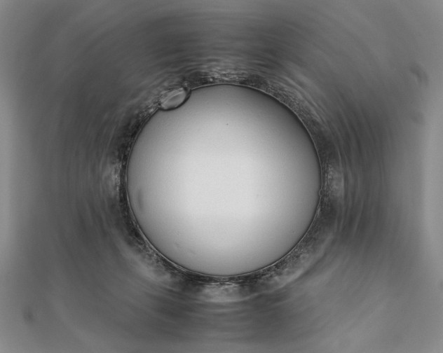 X0000111780271200908061121