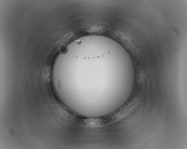 X0000111780273200908061121