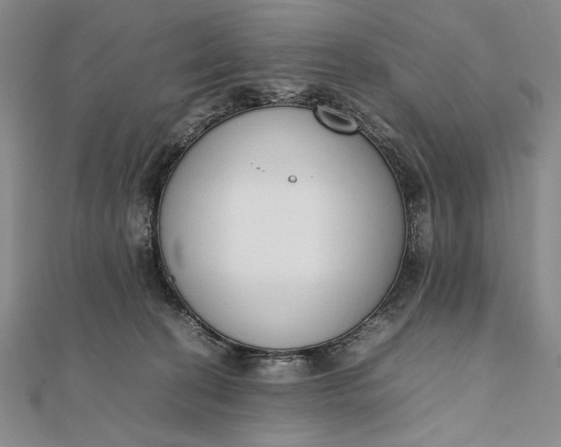 X0000111780274200908061121