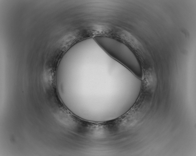 X0000111780276200908061121