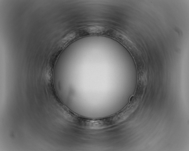 X0000111780277200908061121
