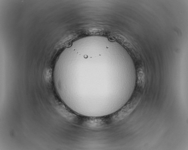 X0000111780278200908061121
