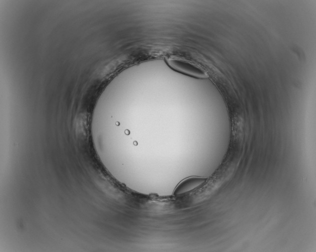 X0000111780280200908061121