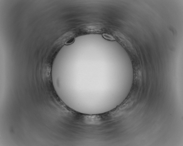 X0000111780281200908061121