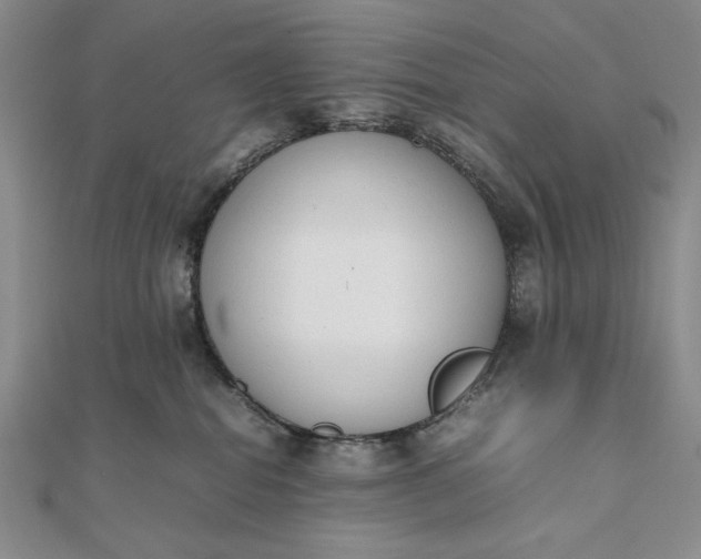 X0000111780282200908061121