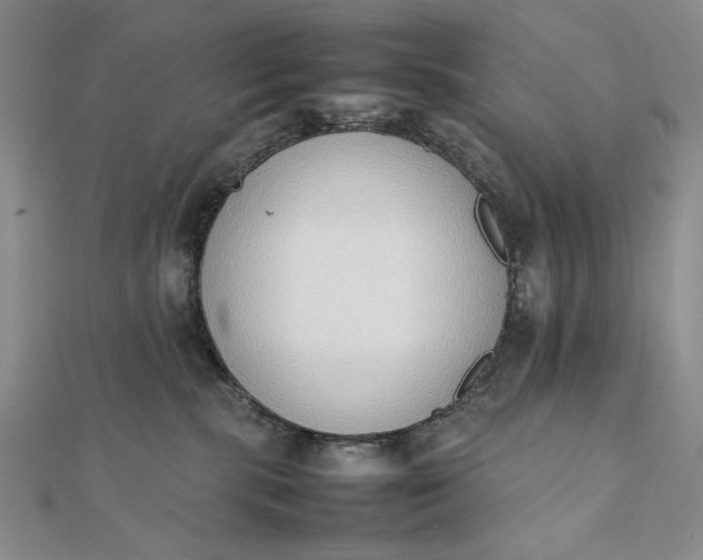 X0000111780283200908061121