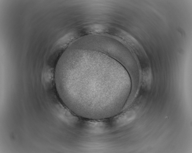 X0000111780284200908061121