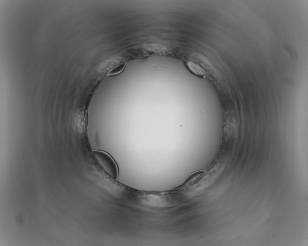 X0000111780285200908061121