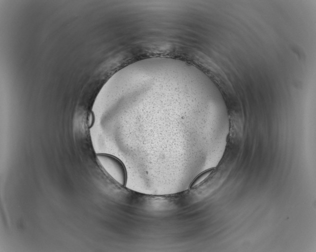 X0000111780287200908061121