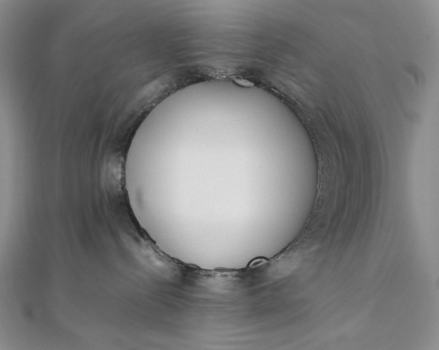 X0000111780288200908061121