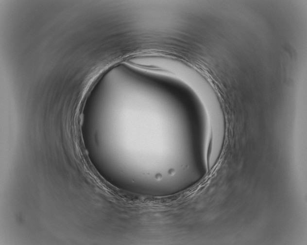 X0000111780289200908061121