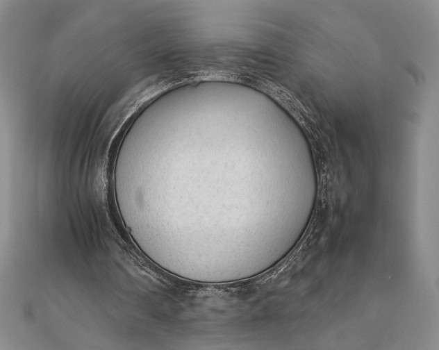 X0000111780290200908061121