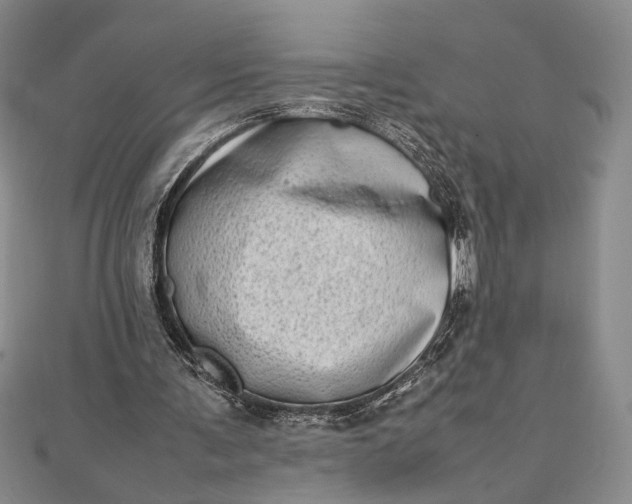 X0000111780291200908061121