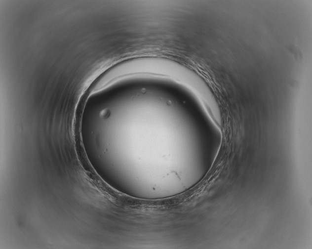 X0000111780292200908061121