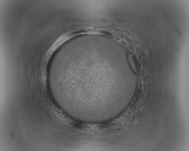 X0000111780295200908061121