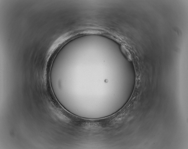 X0000111780296200908061121