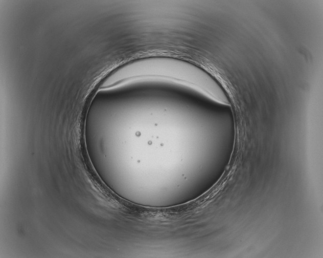 X0000111780297200908061121