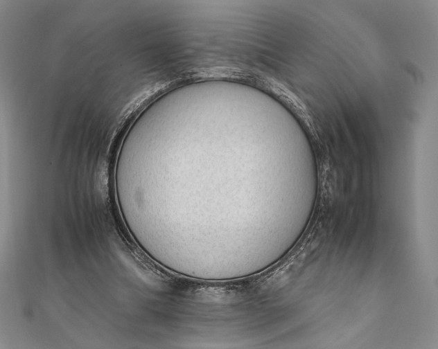 X0000111780298200908061121