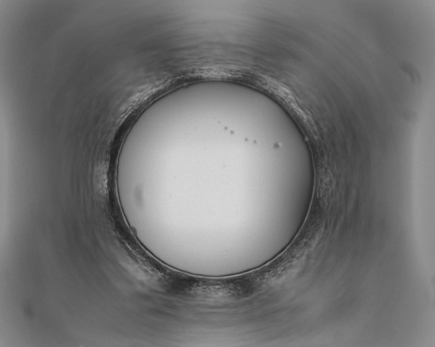 X0000111780299200908061121