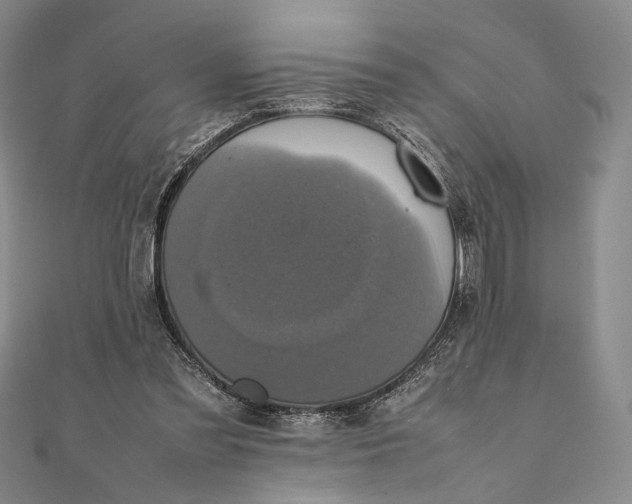 X0000111780301200908061121