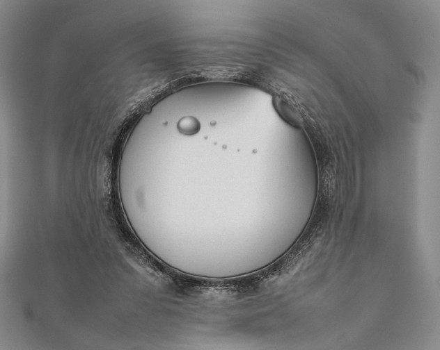 X0000111780303200908061121