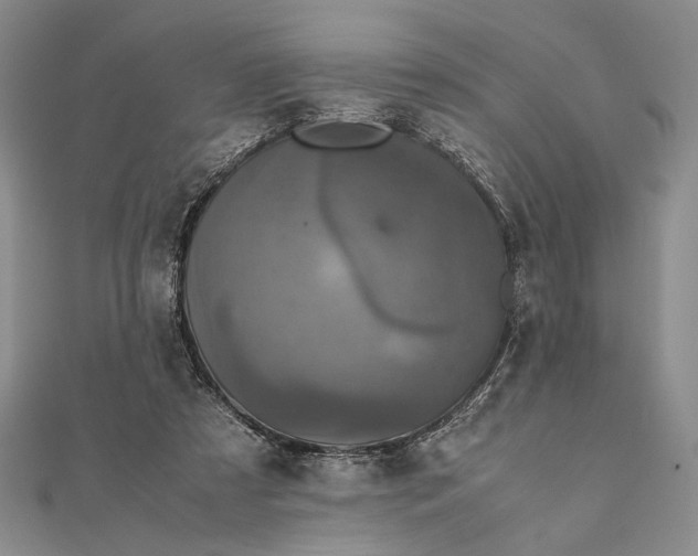 X0000111780305200908061121