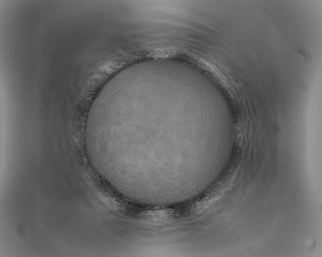 X0000111780307200908061120